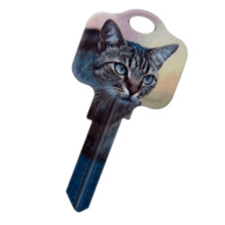 KeysRCool - Buy Animals: Cat key