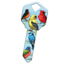 KeysRCool - Buy Happy: Birds key