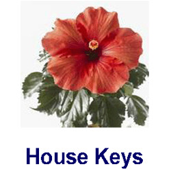 KeysRCool - Buy Hibiscus House Keys KW & SC1