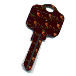 KeysRCool - Buy Baltimore Orioles MLB House Keys KW1 & SC1