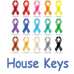 KeysRCool - Buy Ribbon House Keys KW & SC1