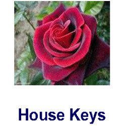 KeysRCool - Buy Roses House Keys KW & SC1