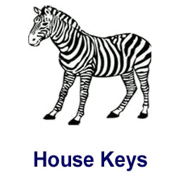 KeysRCool - Buy Zebra House Keys KW & SC1