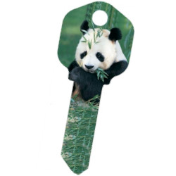 KeysRCool - Buy Craze: Panda key