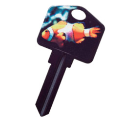 KeysRCool - Buy Tropical: Clown Fish key